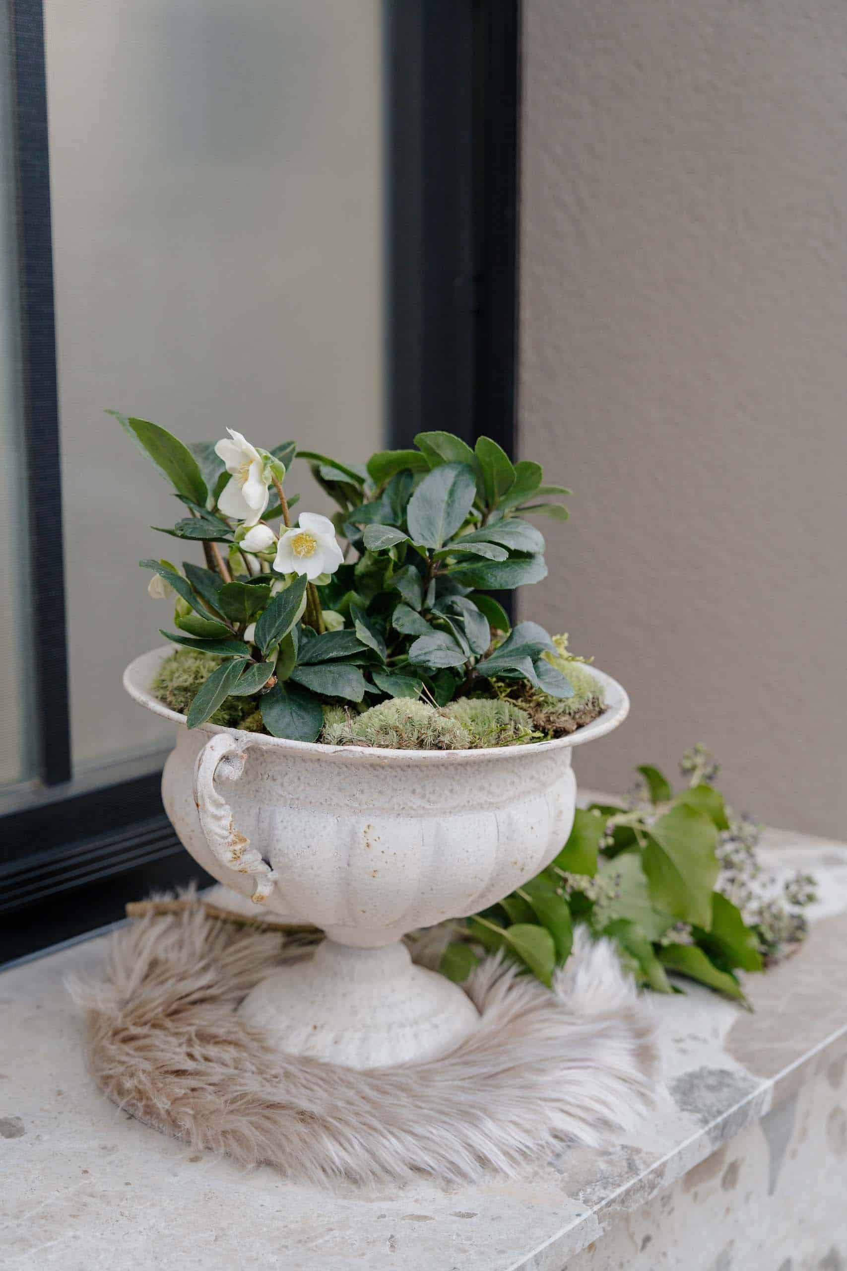 Eleganter Blumenschmuck in antiker Vase, perfekt für eine romantische Hochzeitslocation, vor neutraler Wand.