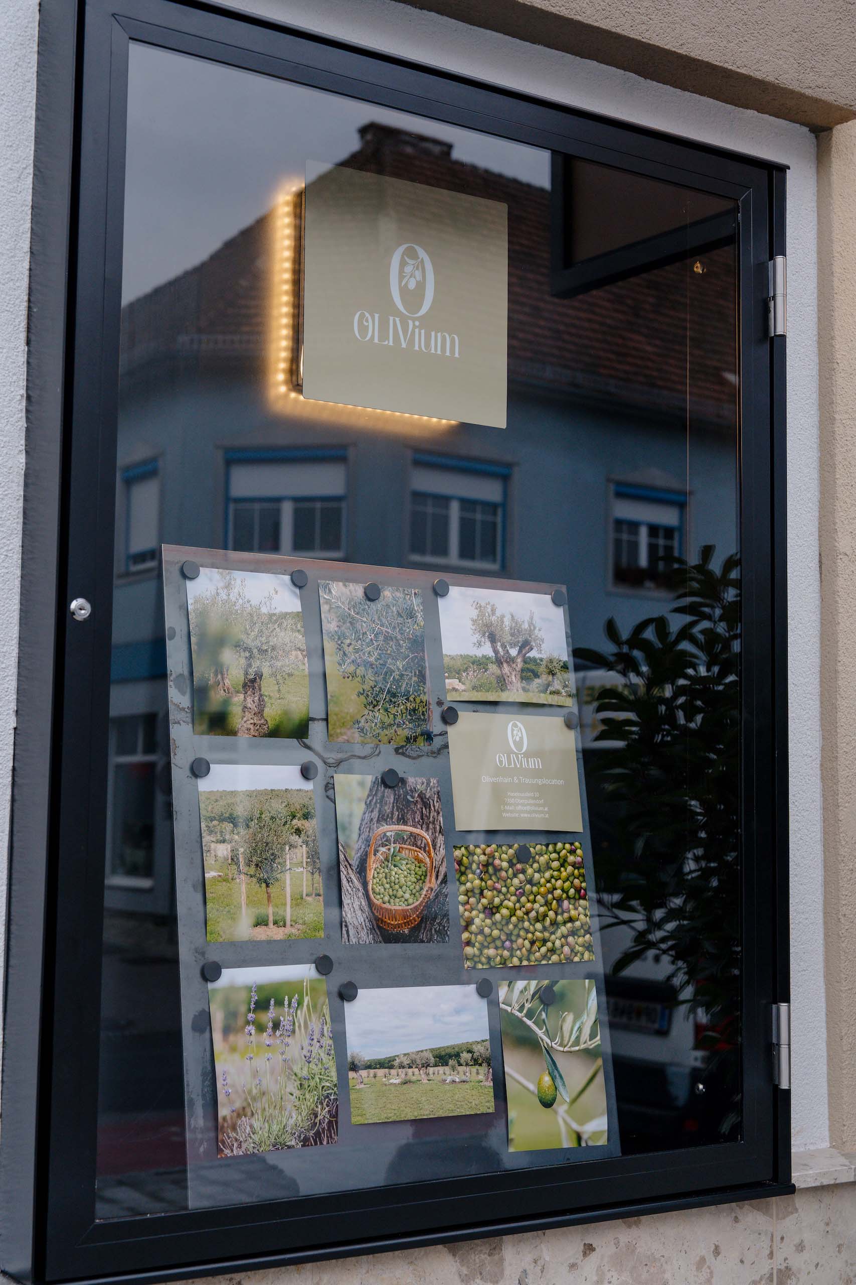 Schaufenster mit Olivenbaum-Fotografien, ideal für eine rustikale Hochzeitslocation bei Hochzeitstraum.